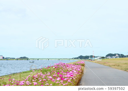 Onga河的岸邊是宇宙的步道 59397502