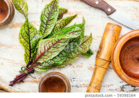 Sorrel bloody mary Sorrel bloody mary 59398164