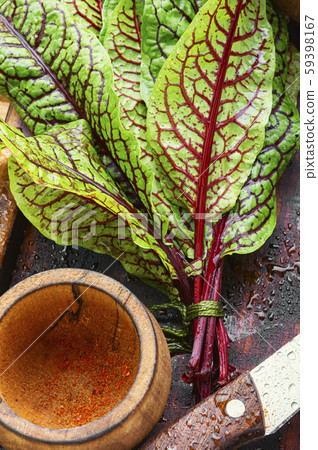 Sorrel bloody mary Sorrel bloody mary 59398167