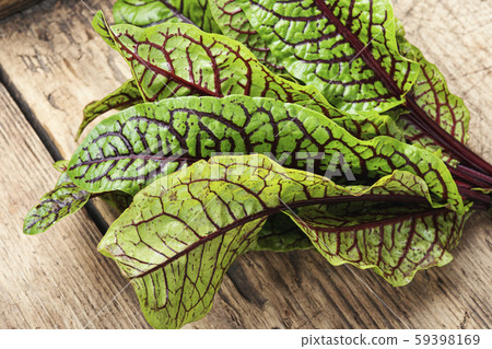 Raw sorrel leaves Raw sorrel leaves 59398169