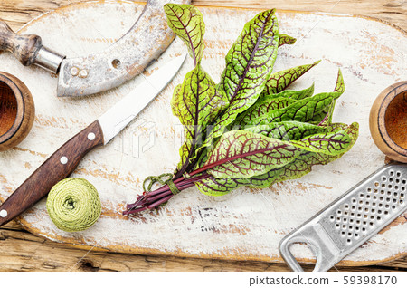 Raw sorrel,fresh herbs Raw sorrel,fresh herbs 59398170