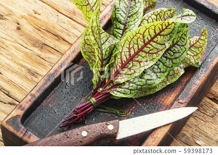 Sorrel bloody mary Sorrel bloody mary 59398173