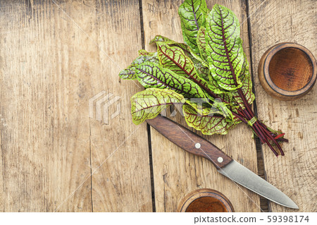 Sorrel bloody mary Sorrel bloody mary 59398174
