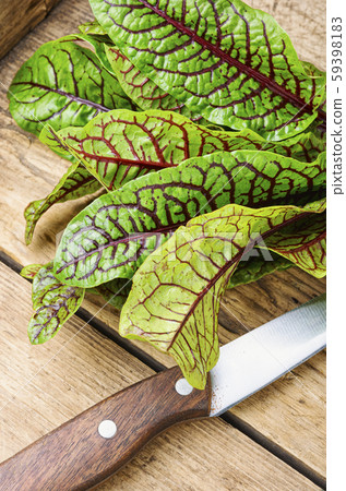 Sorrel bloody mary Sorrel bloody mary 59398183