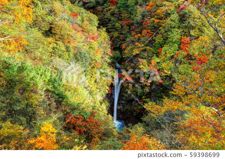 Kokage Falls Kokage Falls 59398699