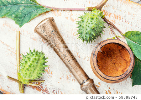 Datura in herbal medicine 59398745
