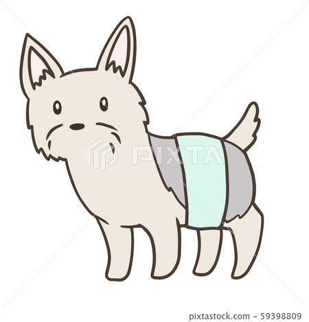 約克夏犬穿著尿布(男孩) 約克夏犬穿著尿布(男孩) 59398809