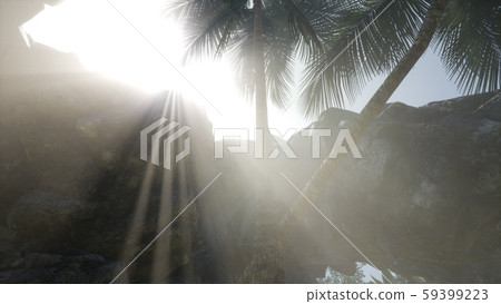 Big Palms in Stone Cave with Rays of Sunlight 59399223