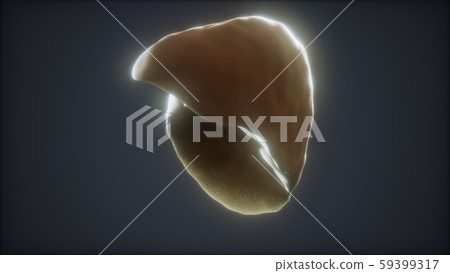 loop 3d rendered medically accurate animation of loop 3d rendered medically accurate animation of 59399317