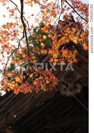 Chusonji寺 Chusonji寺 59400189