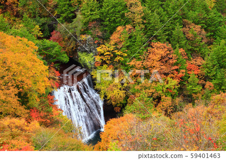 橫谷峽大垣秋葉 59401463