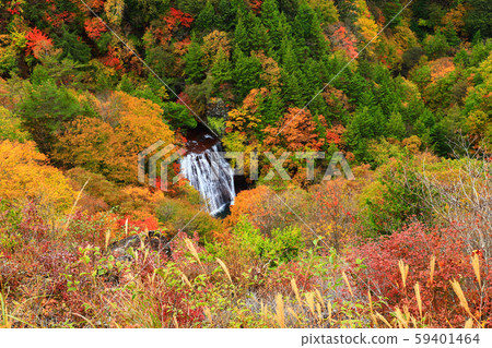 橫谷峽大垣秋葉 59401464