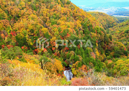 Yokoya Gorge Otaki Autumn leaves 59401473