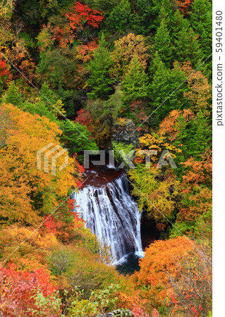 Yokoya Gorge Otaki Autumn leaves Yokoya Gorge Otaki Autumn leaves 59401480