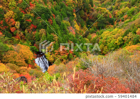 橫谷峽大垣秋葉 橫谷峽大垣秋葉 59401484