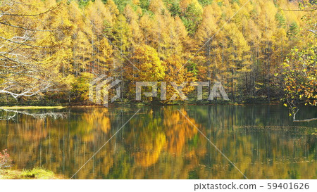 Miyoshikaike autumn scenery 59401626