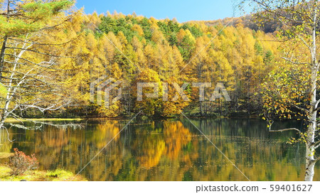 Miyoshikaike autumn scenery 59401627