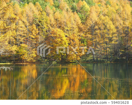Miyoshikaike autumn scenery Miyoshikaike autumn scenery 59401628