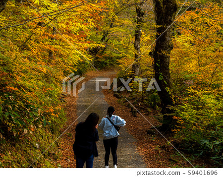 Okamiyama Shrine of autumn leaves 59401696