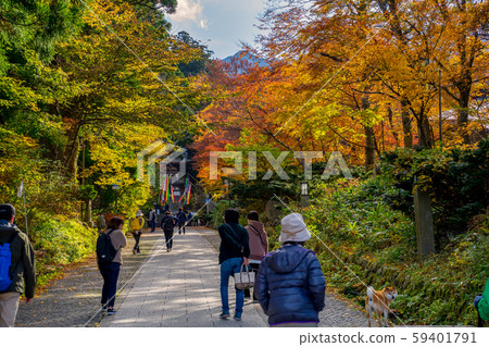 Okamiyama Shrine of autumn leaves Okamiyama Shrine of autumn leaves 59401791
