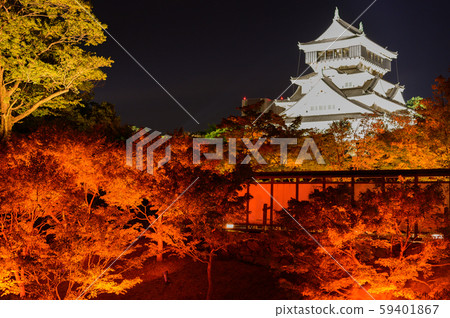 秋天的小倉城花園夜景[福岡縣] 59401867
