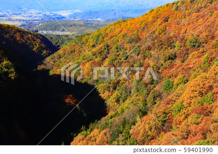 Yokoya Gorge Otaki Autumn leaves 59401990