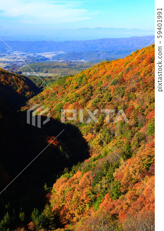 Yokoya Gorge Otaki Autumn leaves Yokoya Gorge Otaki Autumn leaves 59401991