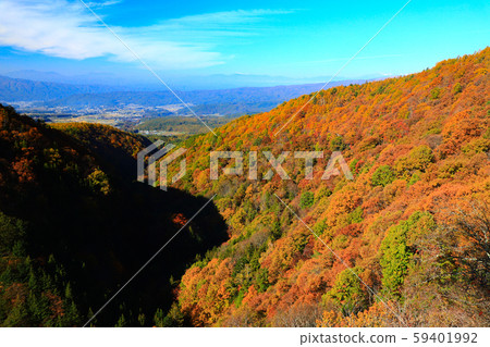 Yokoya Gorge Otaki Autumn leaves Yokoya Gorge Otaki Autumn leaves 59401992
