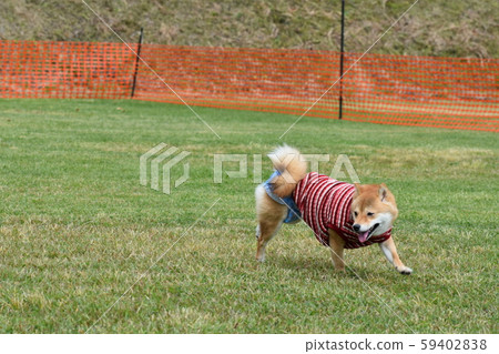 Run dashing and running Run dashing and running 59402838