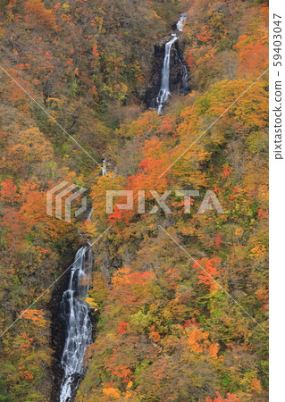 [Miyagi Prefecture] Nishiki Autumn Zao's third floor waterfall 59403047
