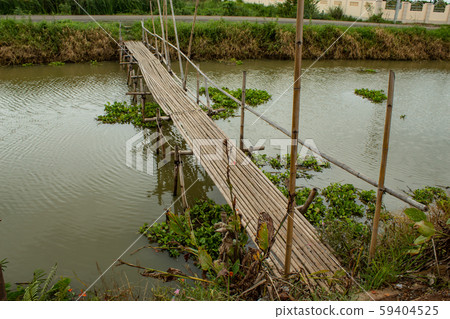 Bamboo bridge over the canal in orchard. 59404525
