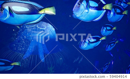 Fabulous Tropical Marine Life. Tropical underwater marine life and tropical beautiful underwater 59404914