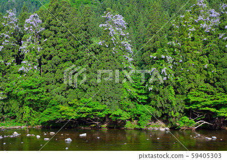 沿著秋田中行線的風景 沿著秋田中行線的風景 59405303