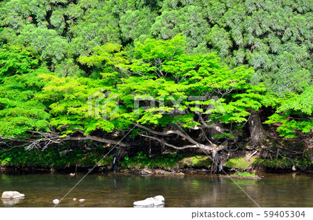 沿著秋田中行線的風景 沿著秋田中行線的風景 59405304