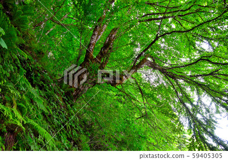 沿著秋田中行線的風景 沿著秋田中行線的風景 59405305