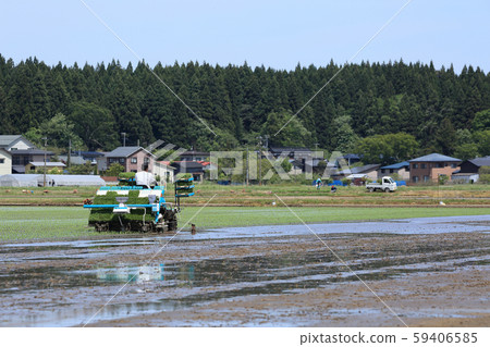 Male image rice planting with rice transplanter Male image rice planting with rice transplanter 59406585