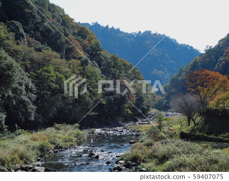 A little early in autumn leaves A little early in autumn leaves 59407075