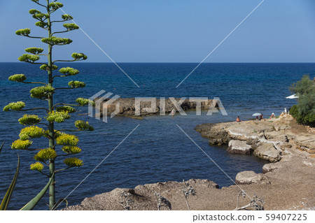 Sea coast in Alghero city, Sardinia, Italy 59407225