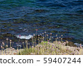 Seascape with turquoise water and purple flowers on the sardinia 59407244