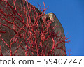 Installation of trees painted red in the form of corals in Alghe 59407247