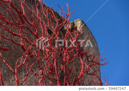 Installation of trees painted red in the form of corals in Alghe 59407247