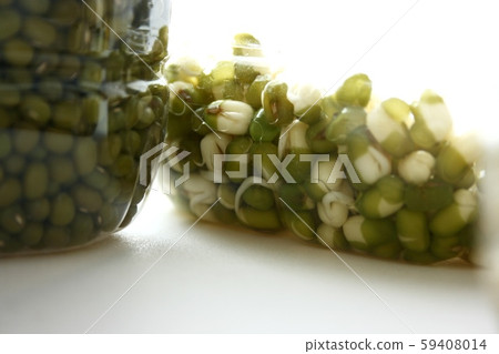 豆芽 59408014