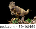 Tyrannosaurus rex . T-rex is walking , growling 59408469
