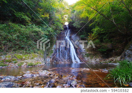 Jokoji Falls 2019-11-10 Colored leaves begin to be colored (Iwado, Takachiho, Miyazaki Prefecture) 59410382