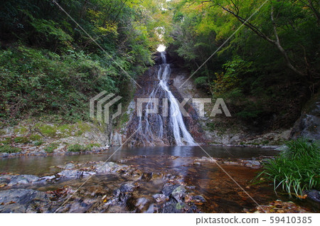 Jokoji Falls 2019-11-10 Colored leaves begin to be colored (Iwado, Takachiho, Miyazaki Prefecture) 59410385