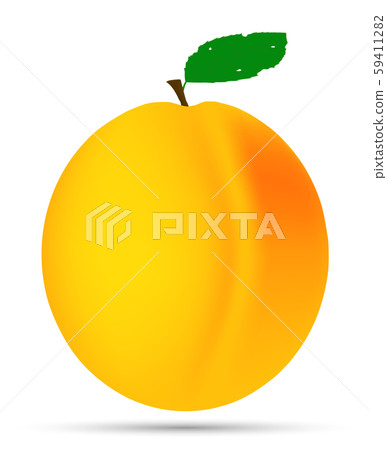 Vector drawing. Nutrition concept. Realistic image apricot 59411282