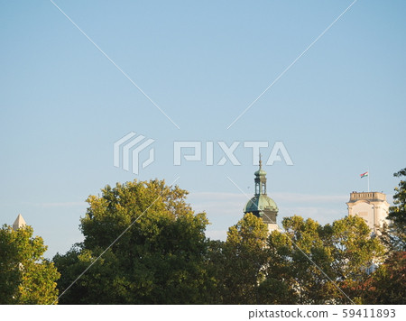 Landmarks of Gyor City Rising above Treetops Landmarks of Gyor City Rising above Treetops 59411893