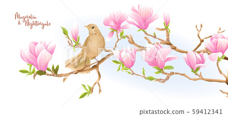 Magnolia tree branch with flowers and nightingale Magnolia tree branch with flowers and nightingale 59412341