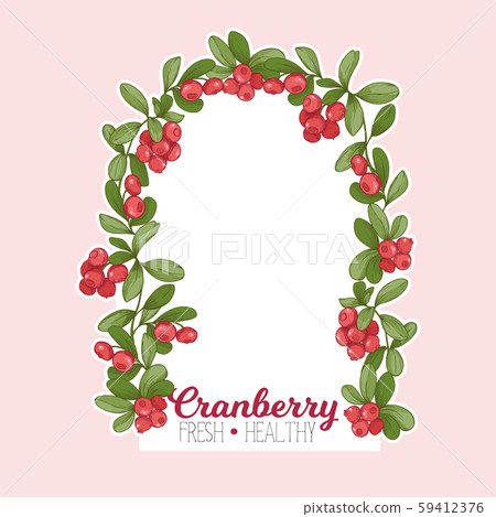 Cranberry. Element for design. Cranberry. Element for design. 59412376