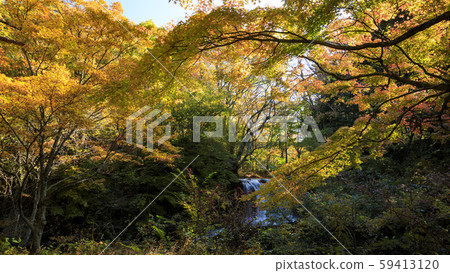 Kaneyama Falls(秋季) Kaneyama Falls(秋季) 59413120